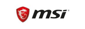 MSI